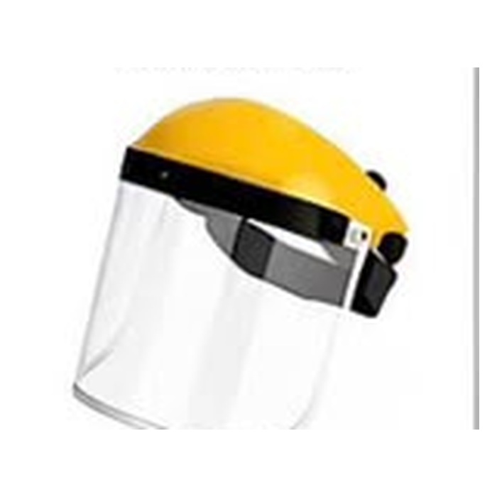 Face Shield