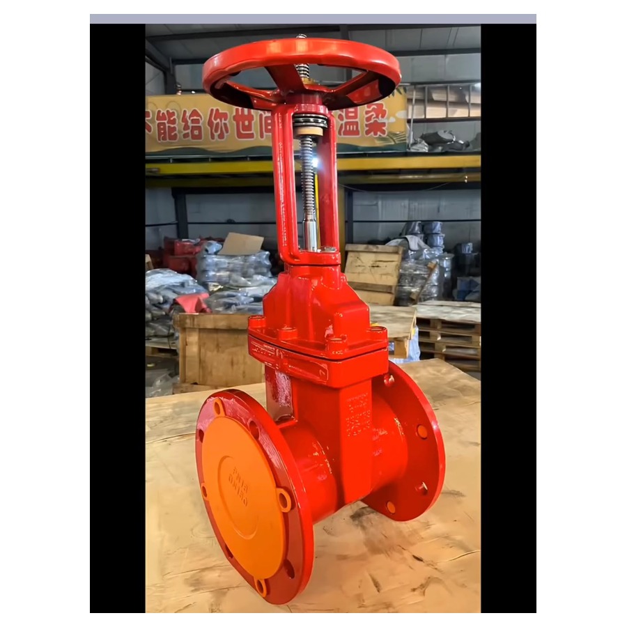 MS Flanged Gate Valve - Red