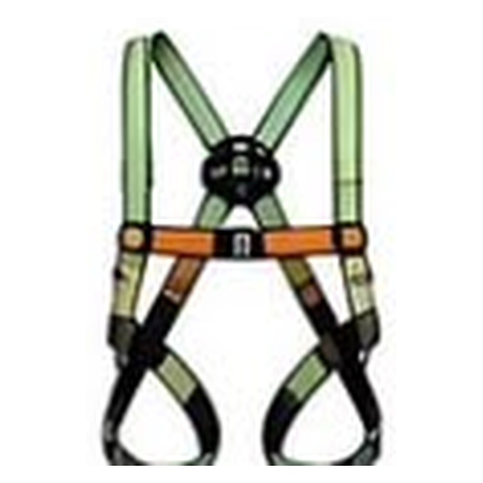Safety Harness